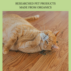 Catnip, organic