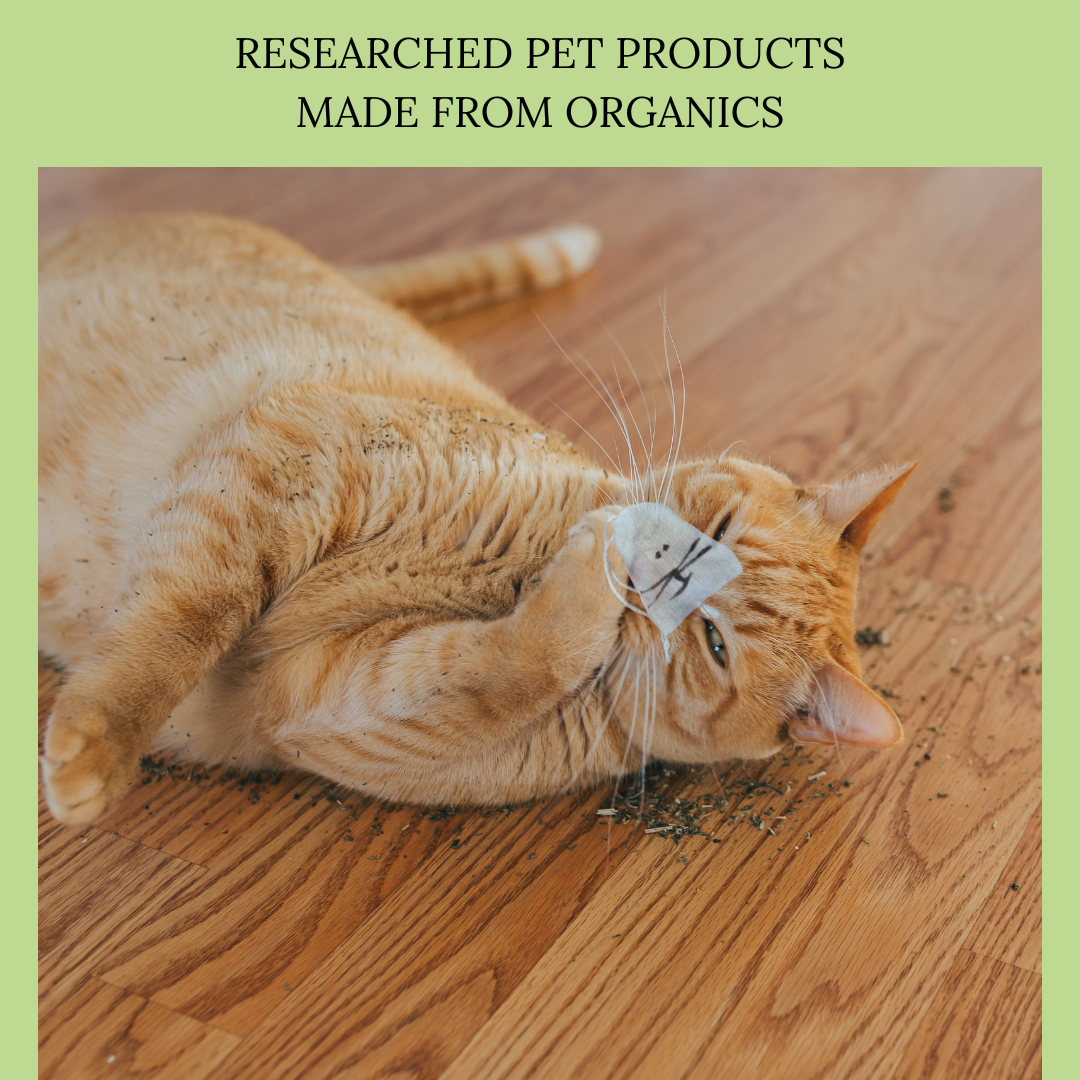 Catnip, organic