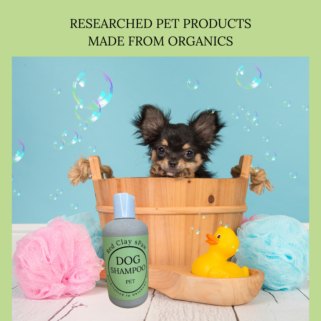Dog Shampoo, Natural, Clean Cleansing